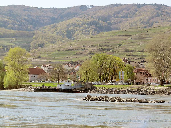 Donau - Wachau, zwischen Spitz und Oberloiben