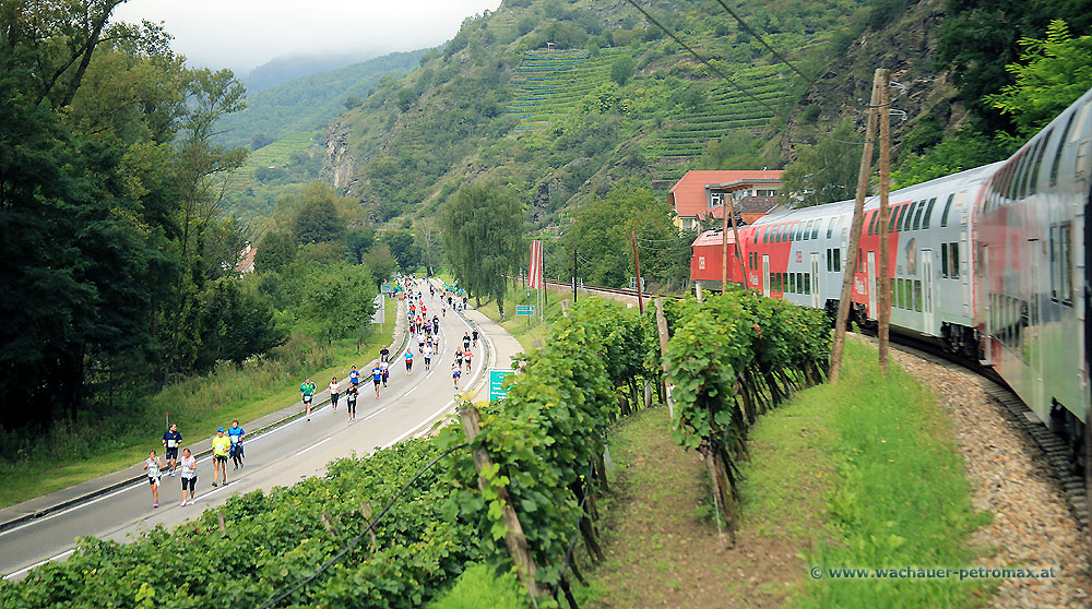 Wachaumarathon - Sonderzug in der Wachau